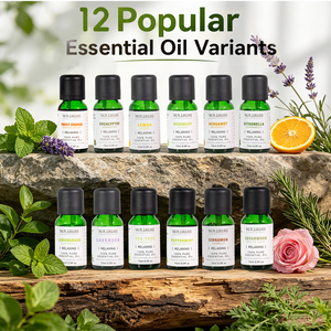 OEM ODM Private Label Bulk Supply 15ml Natural Essential Oil